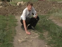 В окрестностях Ростова найдены останки древних скифов